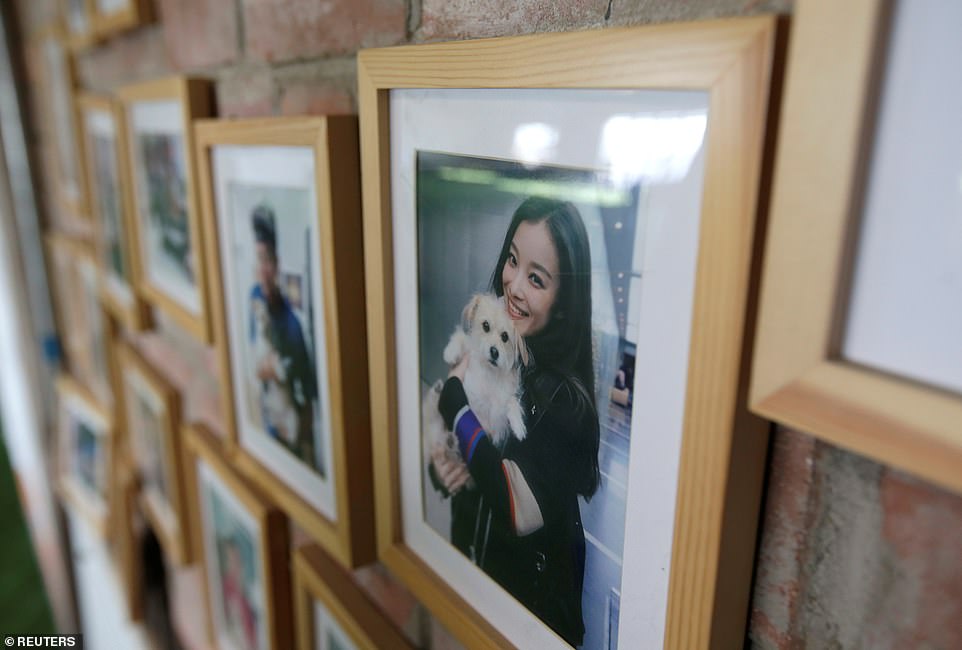 A framed picture shows Chinese actress Ni Ni holding 'Juice', which has been hailed in China for its talent in acting